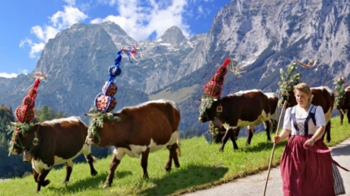 Almabtrieb Berchtesgadener Land 